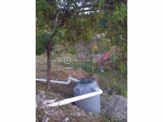 Panoramic hillside open farmland in Los Llanitos San Carlos with lush vegetation and mountain view