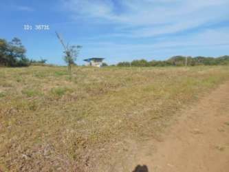 Aerial view of land development with marked plots in Pedasi