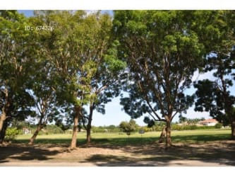 Open grassy residential estate lot in Buenaventura Panama with surrounding nature and lakeshore