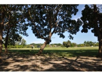 Large residential lot with mature trees and clear sky within Buenaventura resort community Panama