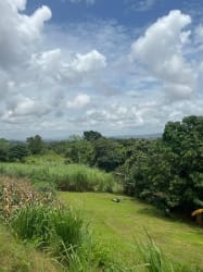 Grassy open plot surrounded by trees and nature in El Carrizal Arraiján Panama