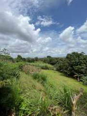 Vacant Land for Sale in El Carrizal / Cáceres - 0 bedrooms